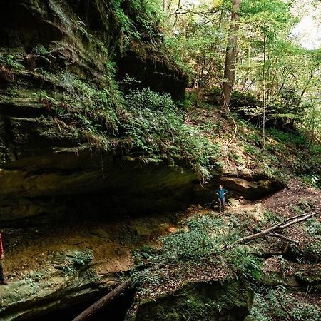 Dunlap Hollow A-Frame Rockbridge Eksteriør billede