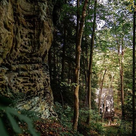 Dunlap Hollow A-Frame Rockbridge Eksteriør billede