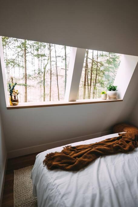 Dunlap Hollow A-Frame Rockbridge Eksteriør billede