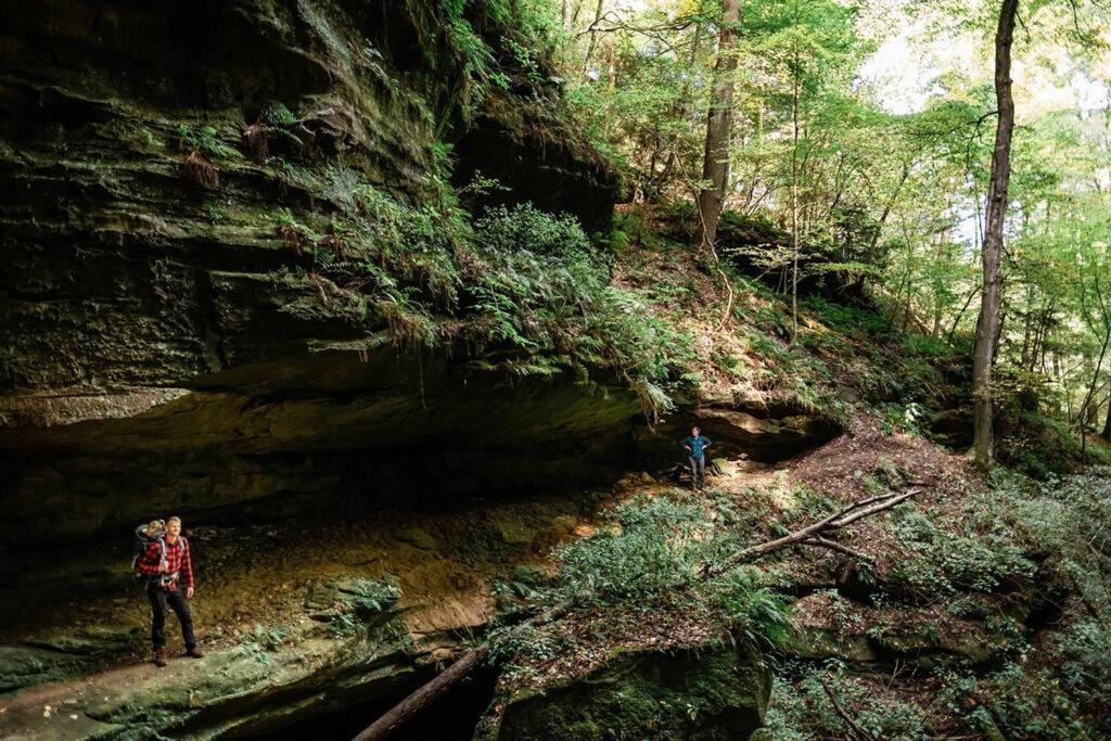 Dunlap Hollow A-Frame Rockbridge Eksteriør billede