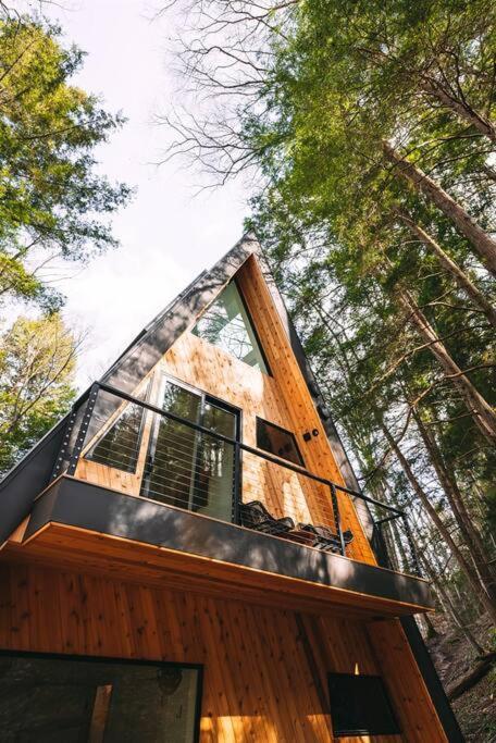 Dunlap Hollow A-Frame Rockbridge Eksteriør billede